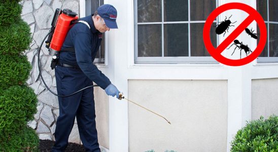 Güney Gümüşkurt İlaçlama böcek ilaçlama ve haşere kontrolü — ilaclama-tr.com